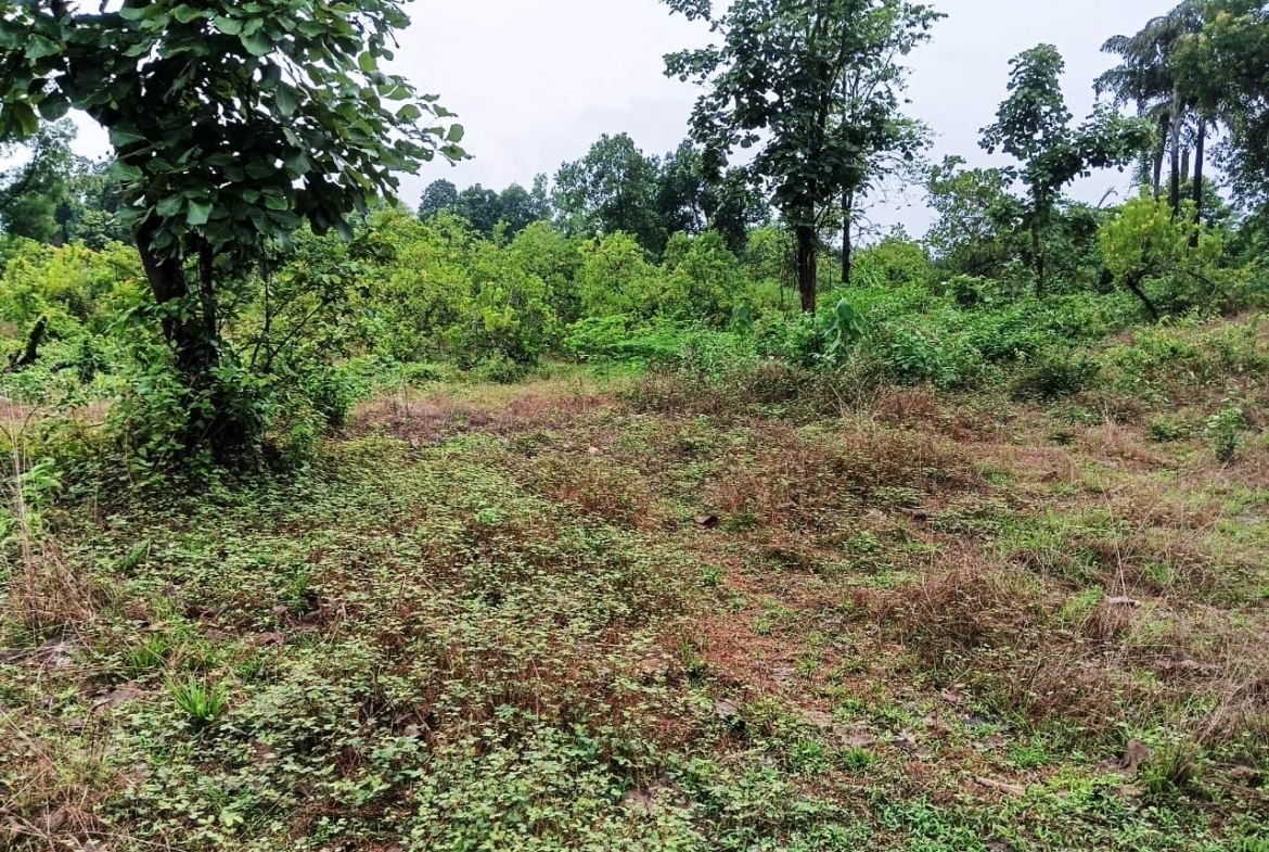 Land For Farmhouse In Goa For Sale Near Carambolim Lake Karmali Corlim Goa