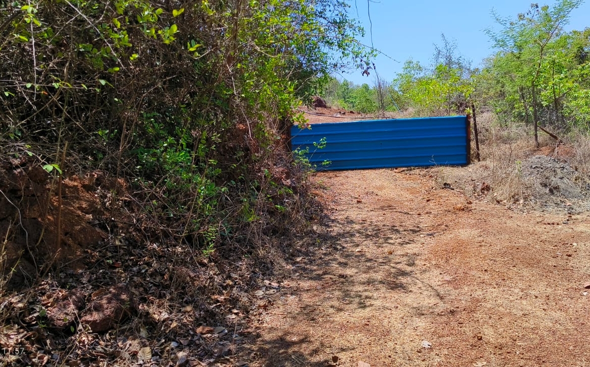 Farm Land For Sale With Cashew Nut Tree Plantation At Ratnagiri Maharashtra