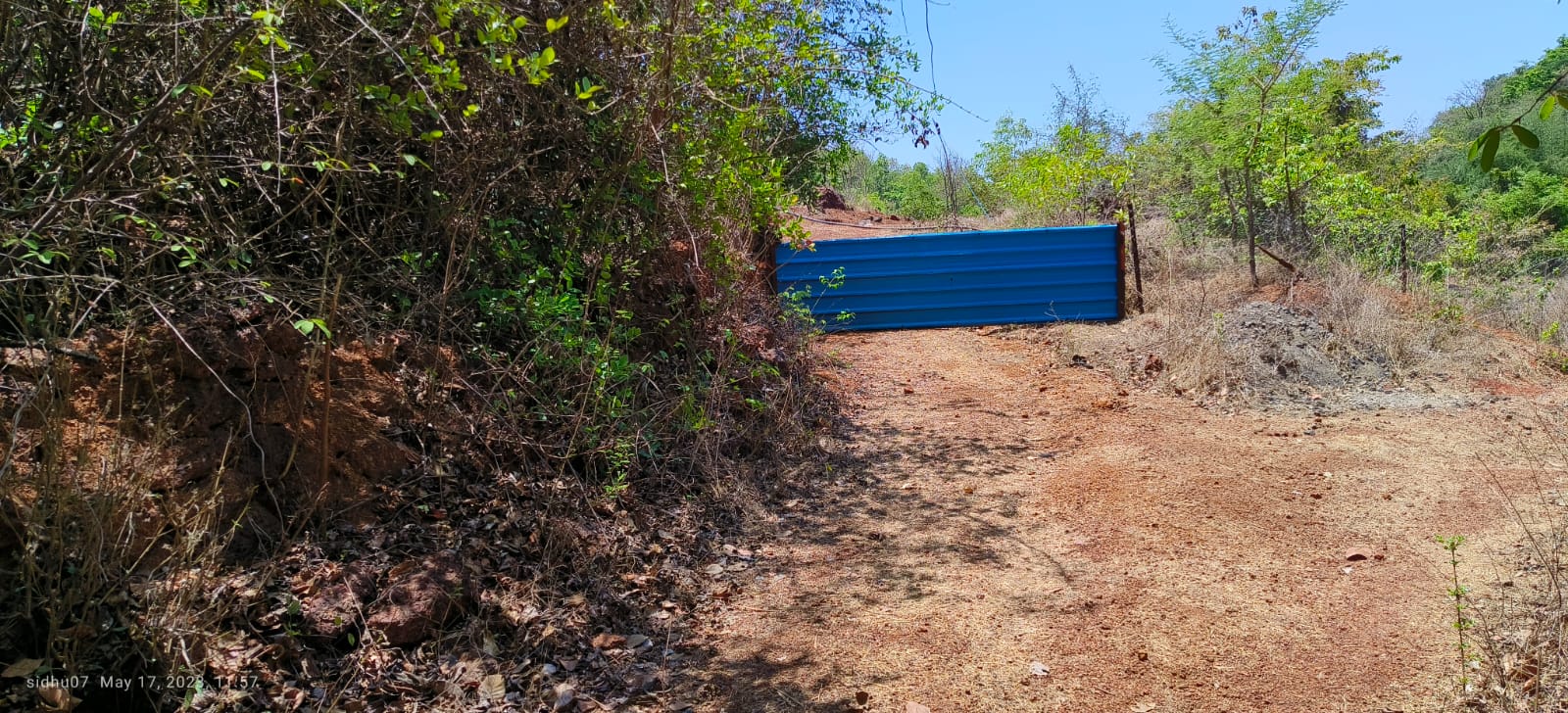 Farm Land For Sale With Cashew Nut Tree Plantation At Ratnagiri Maharashtra