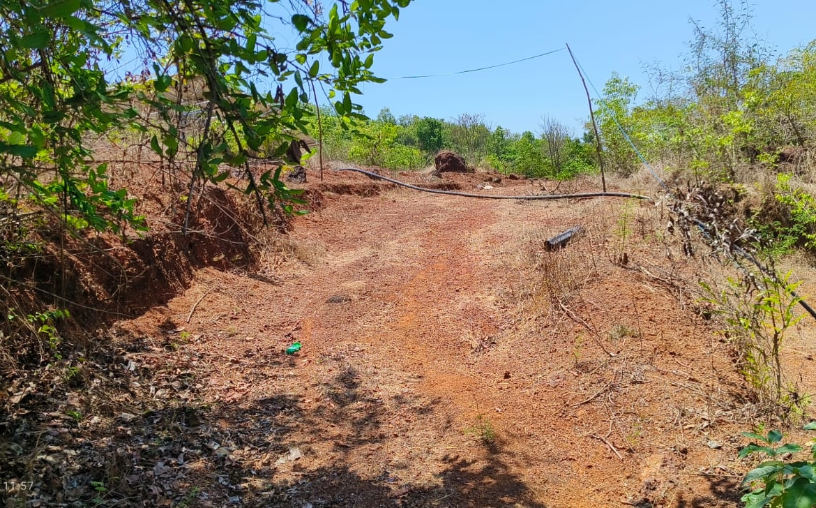 Farm Land For Sale With Cashew Nut Tree Plantation At Ratnagiri Maharashtra