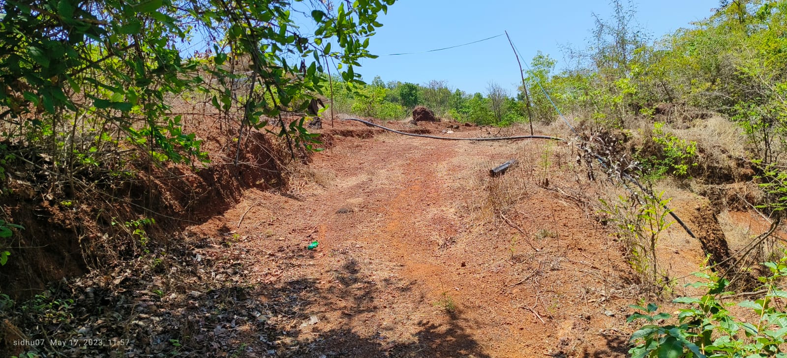 Farm Land For Sale With Cashew Nut Tree Plantation At Ratnagiri Maharashtra