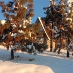 Resorts Hotel for Sale in Uttarakhand at Jaurasi Forest Range India