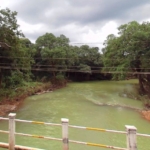 Awesome Hill Mountain View Land For Sale Near Dudhsagar River Waterfall in Goa Best For Echo Tourism Project, Echo Resorts or Farm House Plottings