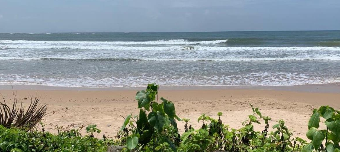 Beach Touch Sea Facing Plot For Sale Chivla & Malvan