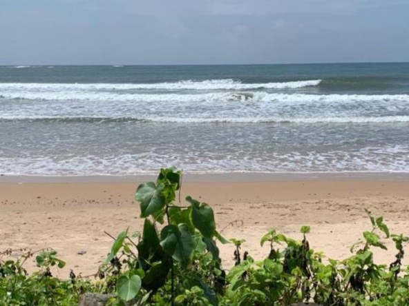 Beach Touch Sea Facing Plot For Sale Chivla & Malvan