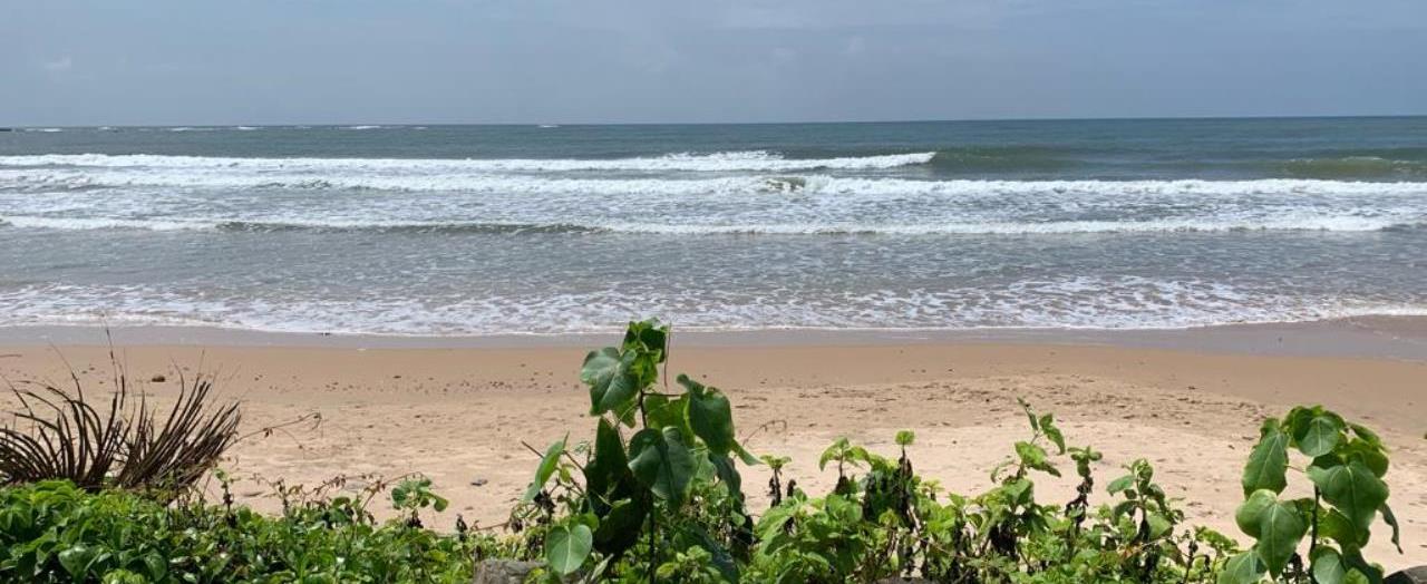 Beach Touch Sea Facing Plot For Sale Chivla & Malvan