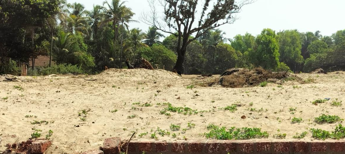 Beach Touch Sea Facing Plot For Sale Chivla & Malvan