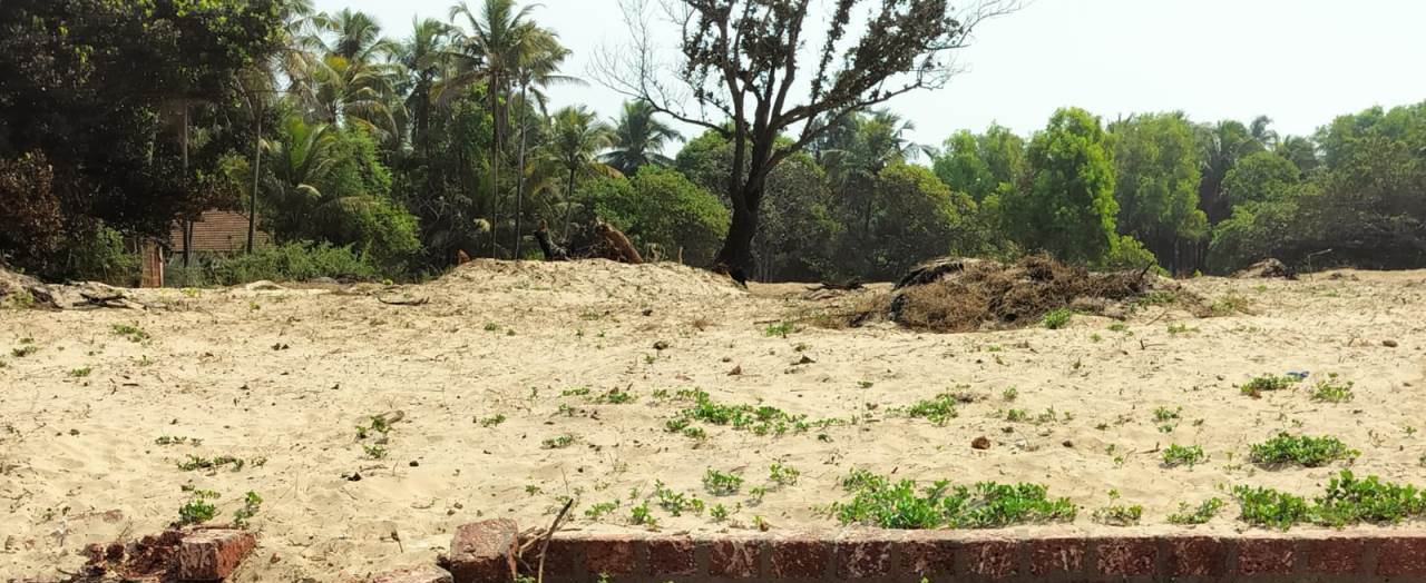 Beach Touch Sea Facing Plot For Sale Chivla & Malvan