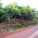 150Acres Land In Goa For Sale Near MOPA Airport