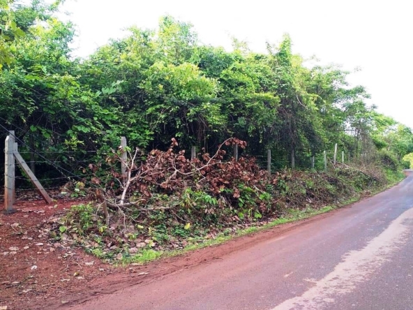 150Acres Land In Goa For Sale Near MOPA Airport