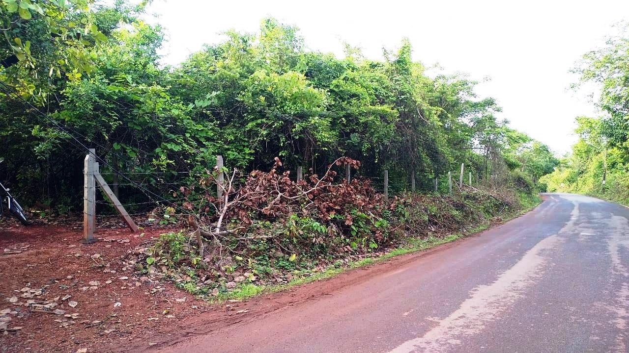 150Acres Land In Goa For Sale Near MOPA Airport