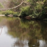 200 Acres River Touch Agricultural Farm Land For Sale In Konkan Ratnagiri Maharashtra