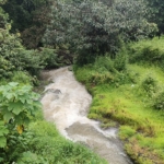 Buy Orchard Land In Farmhouse Community Project In Goa Thivim