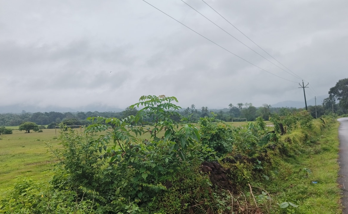 Buy Orchard Land In Farmhouse Community Project In Goa Thivim