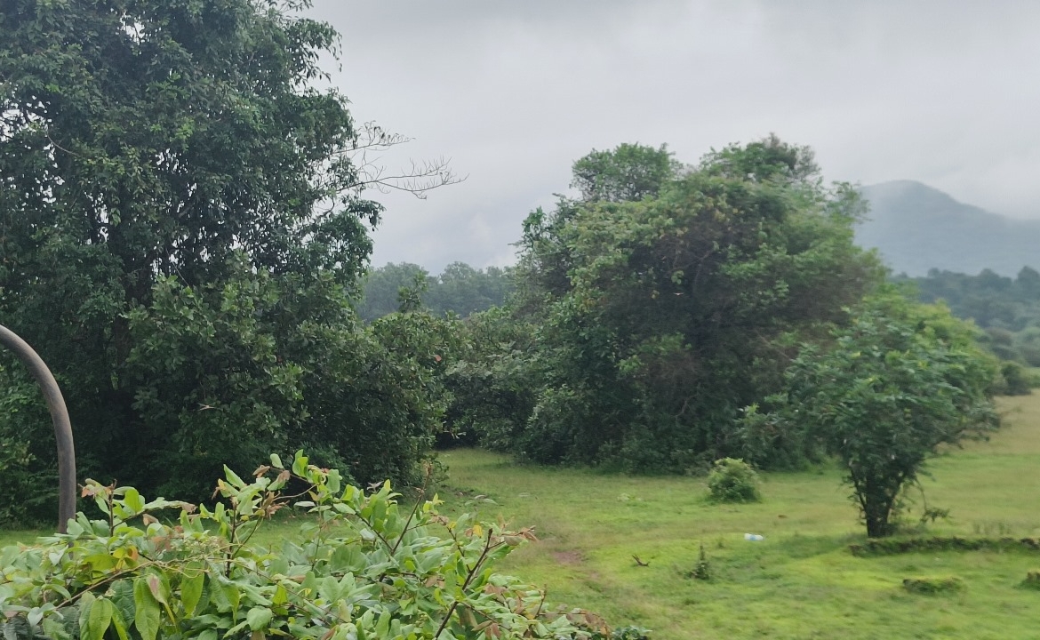 Buy Orchard Land In Farmhouse Community Project In Goa Thivim