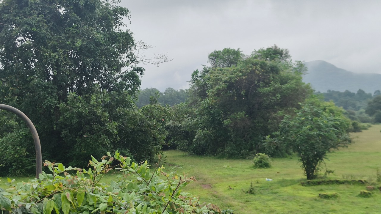 Buy Orchard Land In Farmhouse Community Project In Goa Thivim