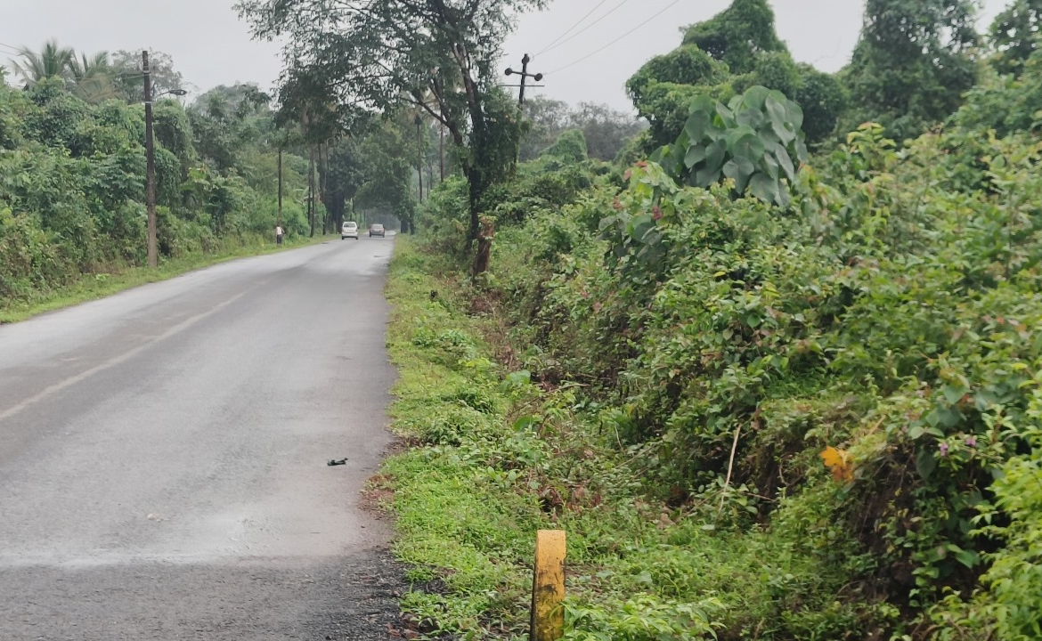 Buy Orchard Land In Farmhouse Community Project In Goa Thivim