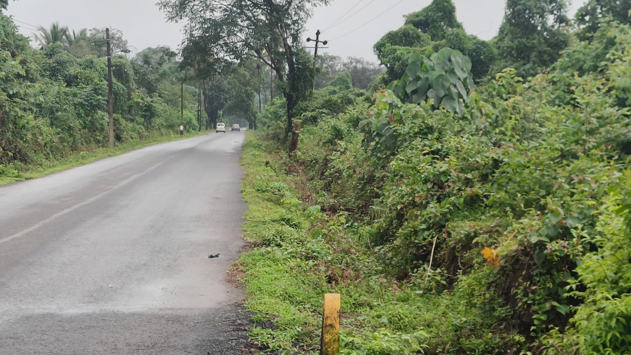 Buy Orchard Land In Farmhouse Community Project In Goa Thivim