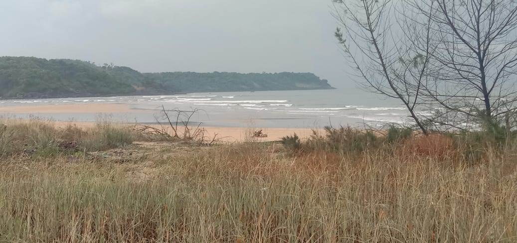 River & Sea Facing Land For Hotel Resort or Farm House In Goa For Sale