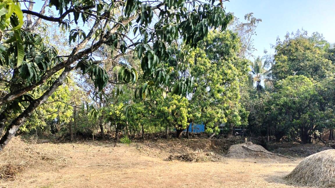 32 Guntha Road Touch NA Plot For Sale Near Goa in Maharashtra