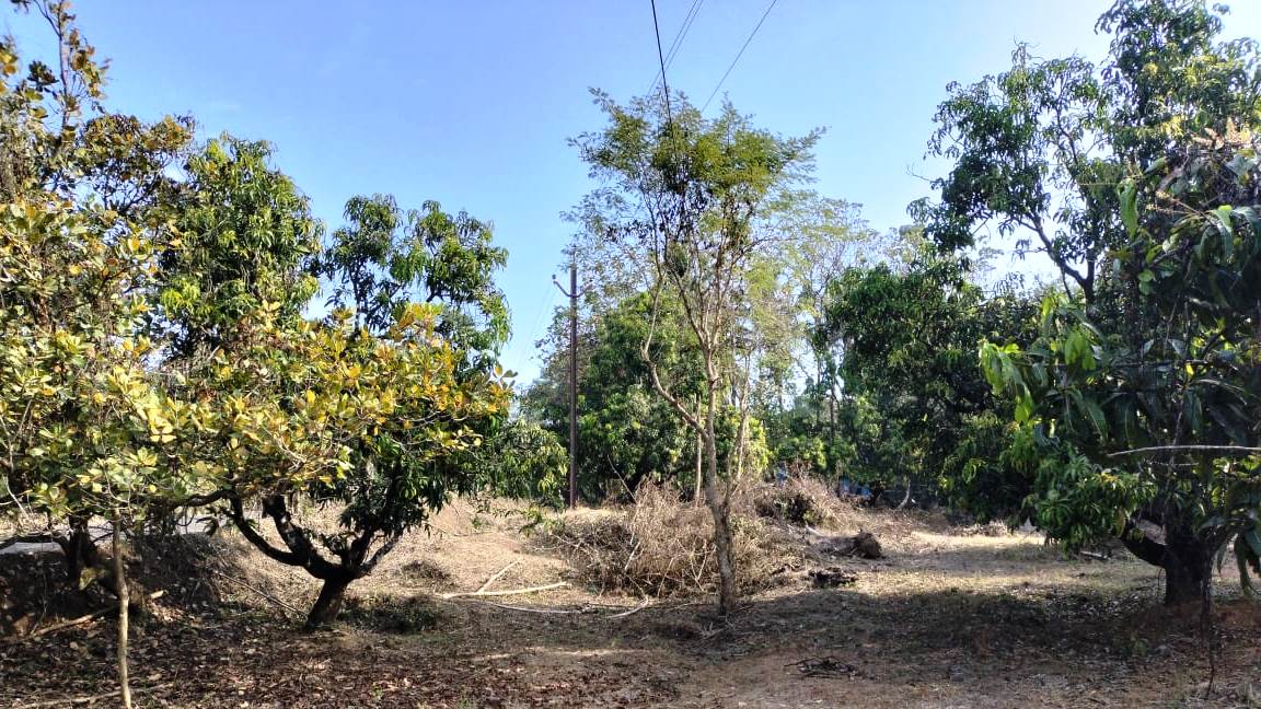 32 Guntha Road Touch NA Plot For Sale Near Goa in Maharashtra