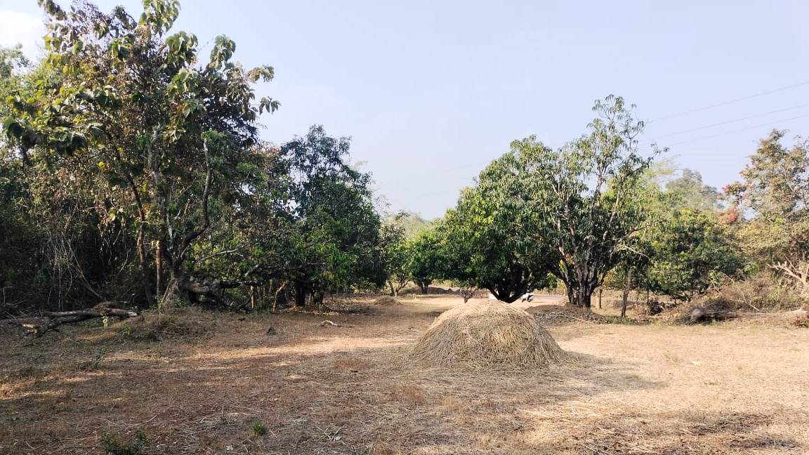 32 Guntha Road Touch NA Plot For Sale Near Goa in Maharashtra