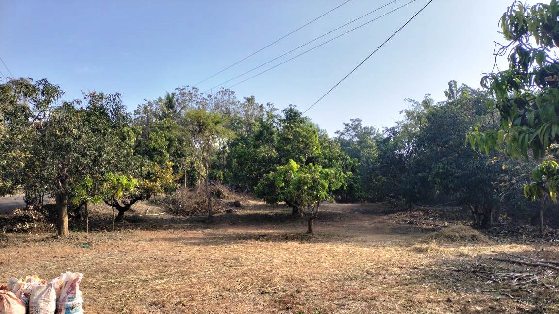 32 Guntha Road Touch NA Plot For Sale Near Goa in Maharashtra