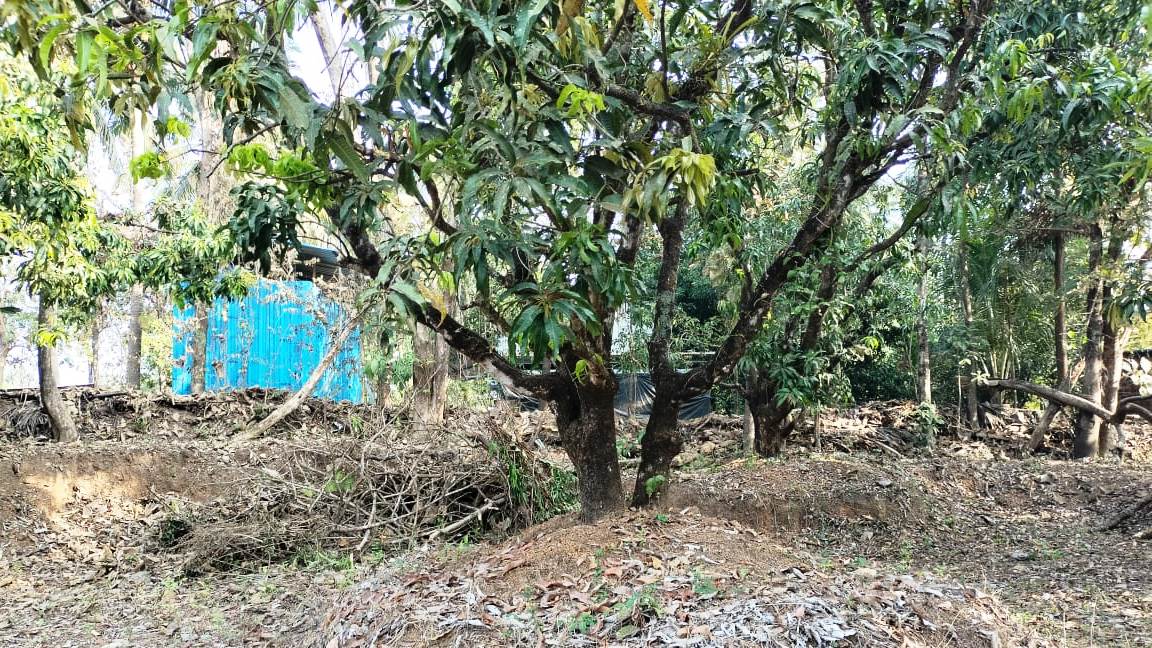 32 Guntha Road Touch NA Plot For Sale Near Goa in Maharashtra