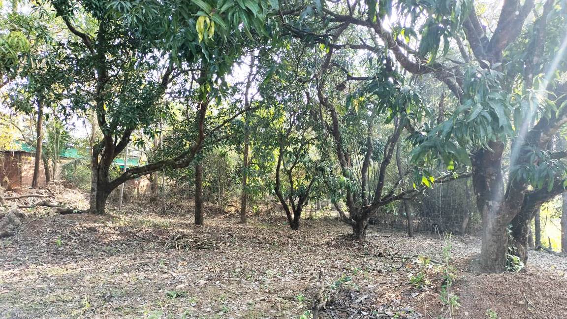 32 Guntha Road Touch NA Plot For Sale Near Goa in Maharashtra