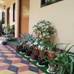 Resort For Sale In Calangute Gaura Vaddo Goa