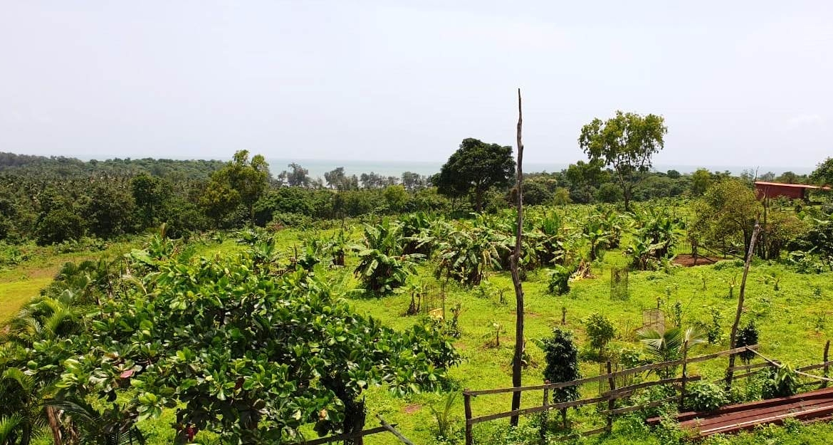 Highway Touch Landbank 50Acres Land In Goa For Sale