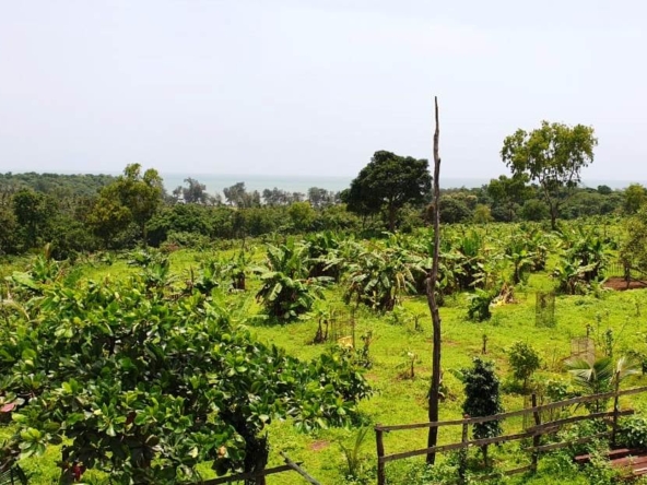 Highway Touch Landbank 50Acres Land In Goa For Sale