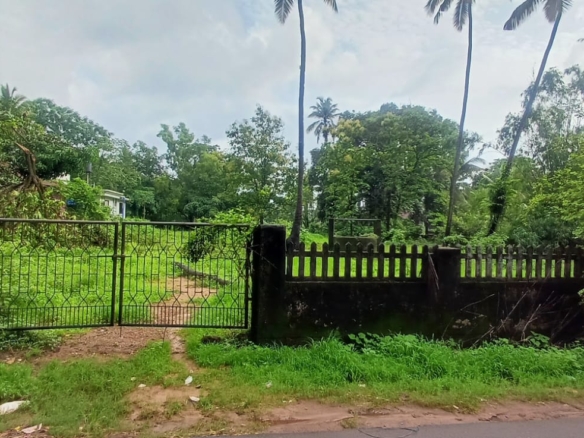 Plot In Goa For Sale With Sanad in Seraulim near to Colva and Madgaon