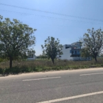 Residential Plots In Pataudi Huda Sector One For Sale