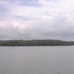 Standalone Premium River Facing Villa In Goa For Sale