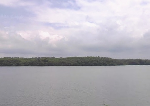 Standalone Premium River Facing Villa In Goa For Sale