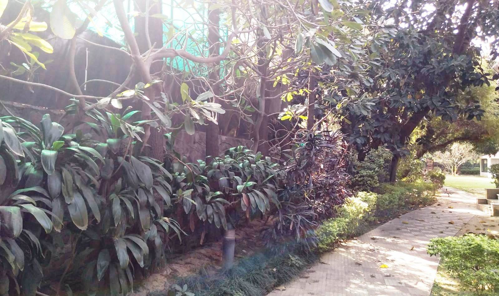 Farm House For Rent In DLF Chattarpur