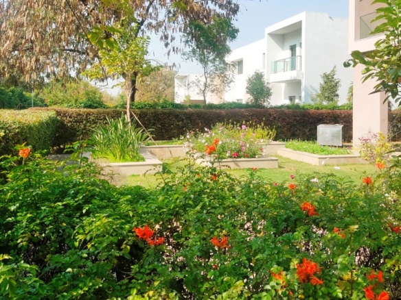 Gurgaon Farms A Gated Community Of Farm House In Gurugram