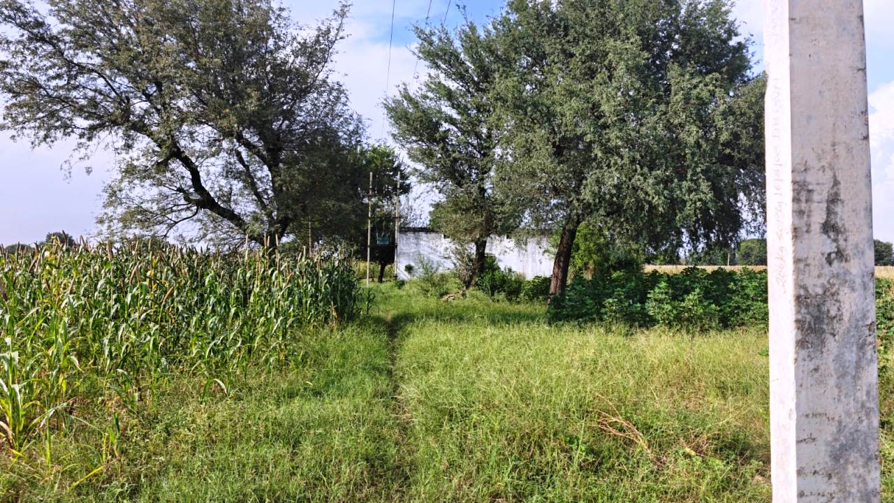 14Acre Land For Sale Between Ateli & Kanina Distt Mahendergarh