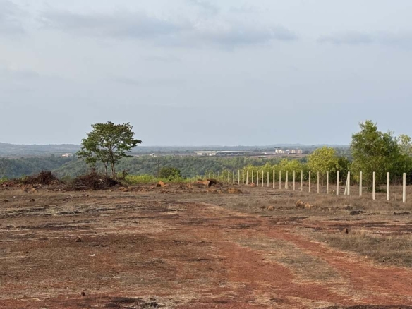 50 Acres Land For Sale Near Chipi Airport Sindhudurg Malvan