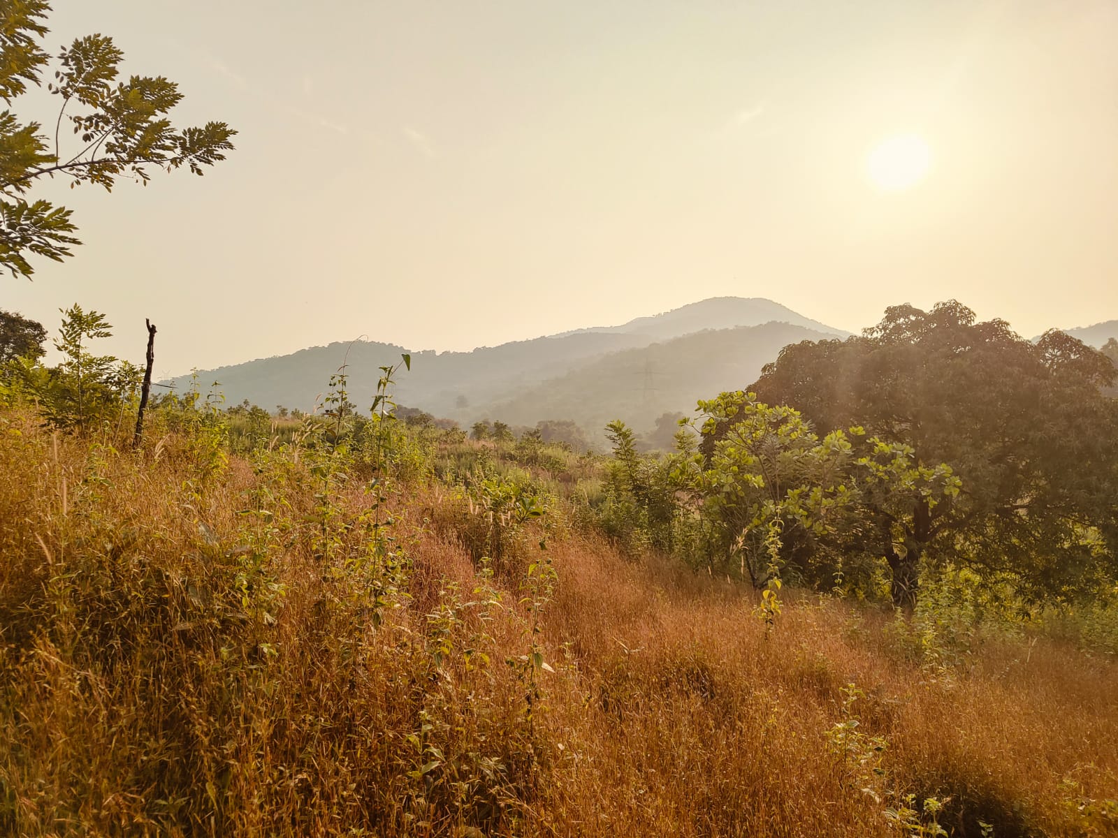 River Touch Farmhouse Land At Hyderabad Goa Highway Near Tilari Dam For Sale