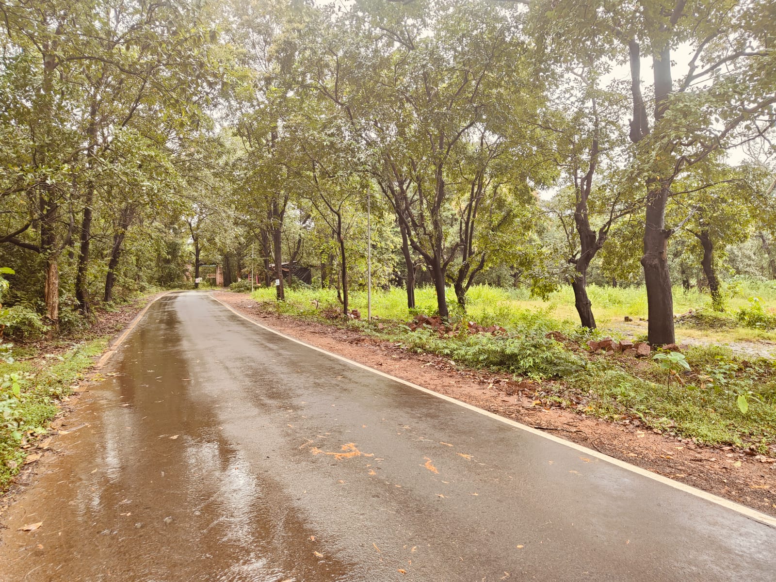 River Touch Farmhouse Land At Hyderabad Goa Highway Near Tilari Dam For Sale
