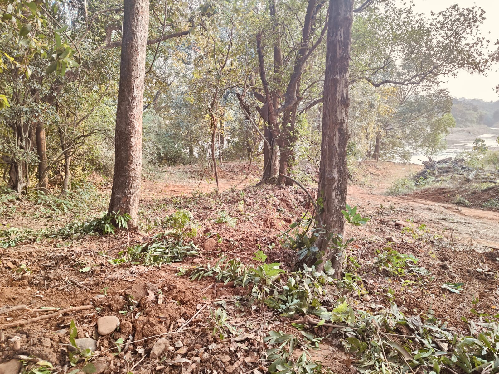 River Touch Farmhouse Land At Hyderabad Goa Highway Near Tilari Dam For Sale