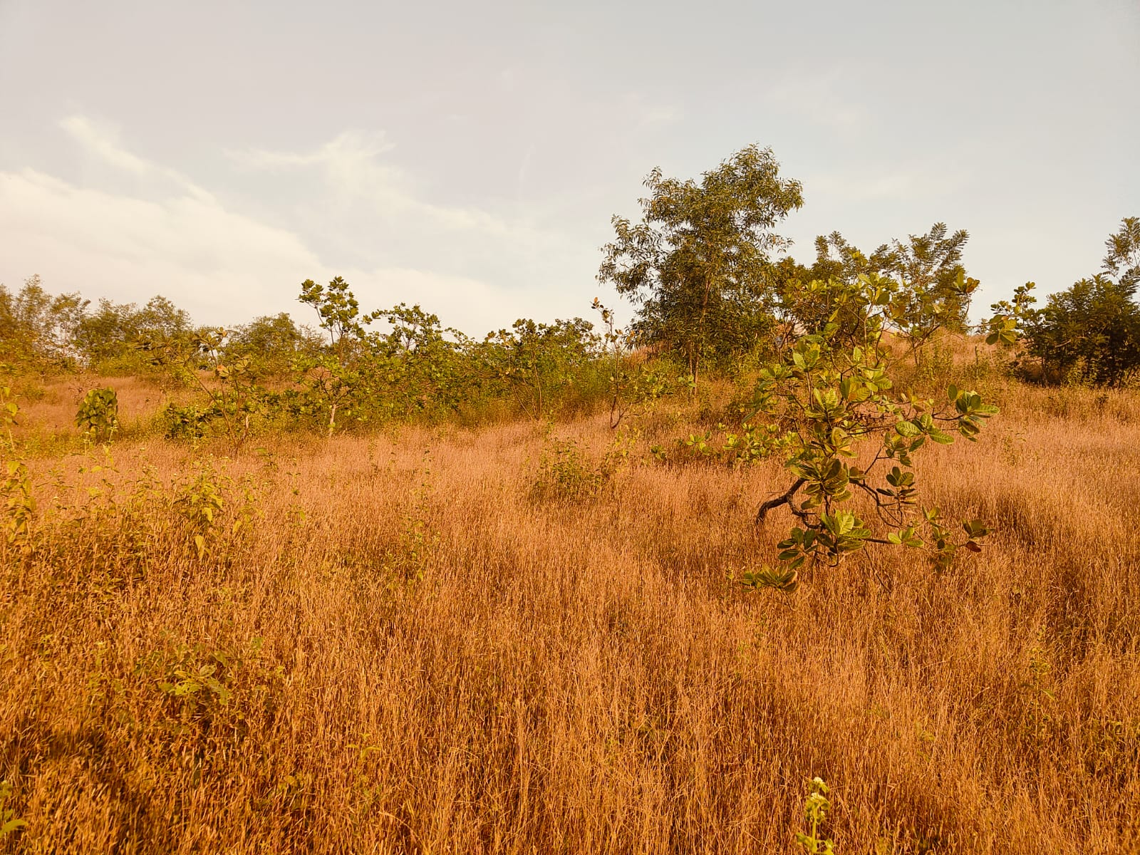 River Touch Farmhouse Land At Hyderabad Goa Highway Near Tilari Dam For Sale