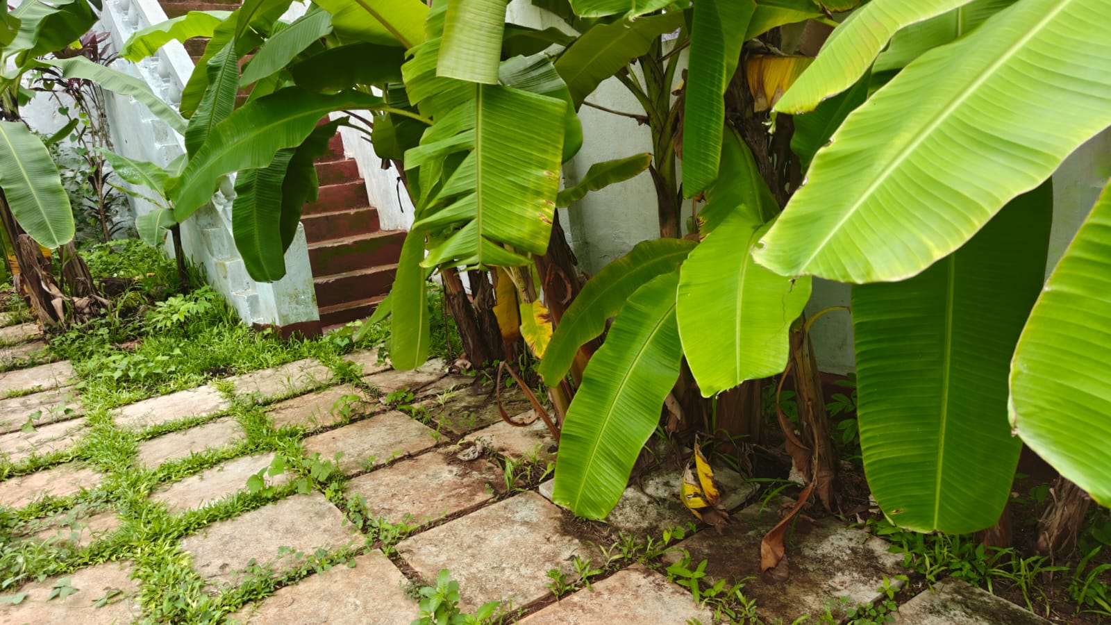 3BHK Portuguese House in Moira North Goa For Sale (10) 3BHK Portuguese House in Moira North Goa For Sale