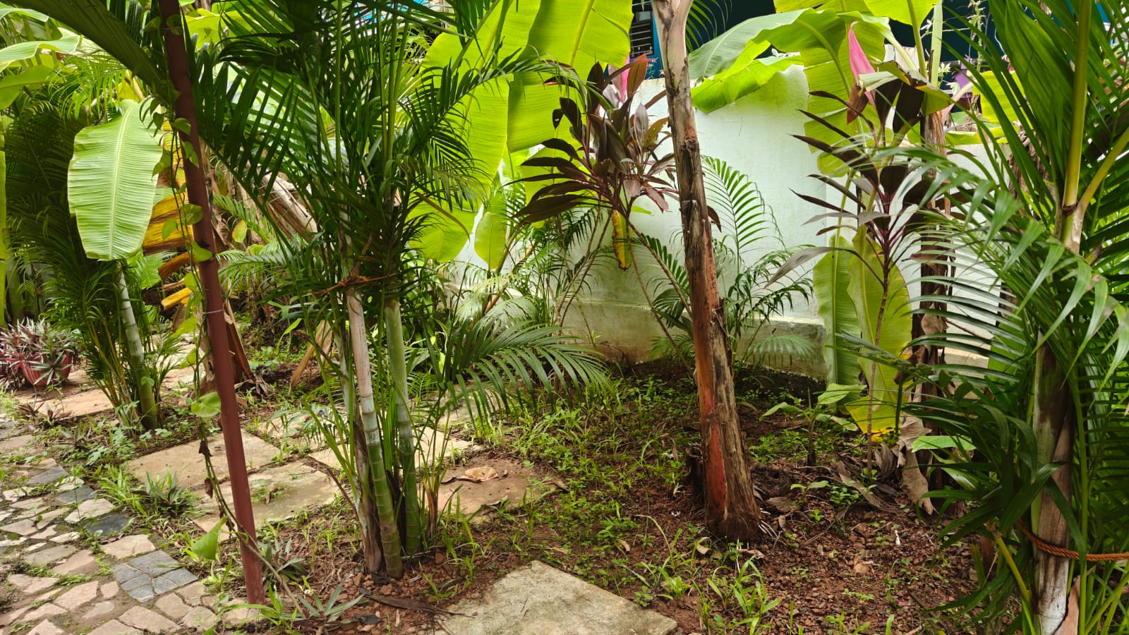 3BHK Portuguese House in Moira North Goa For Sale (15) 3BHK Portuguese House in Moira North Goa For Sale