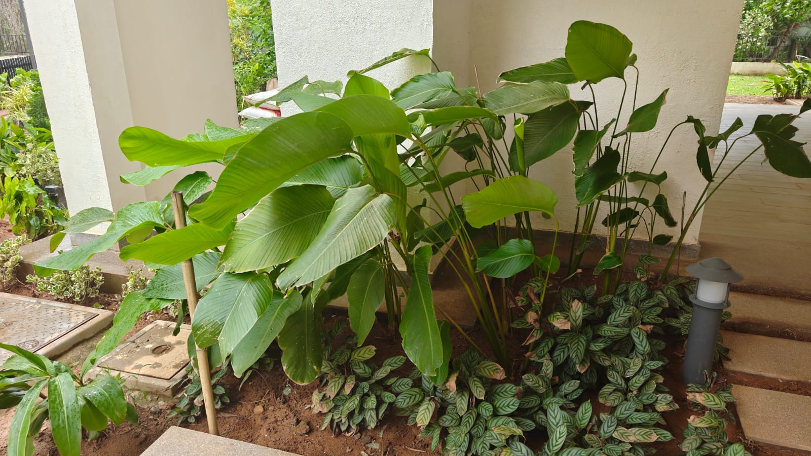 5 BHK Duplex Villament Nerul near Candolim North Goa (52) 5 BHK Duplex Villament Nerul near Candolim North Goa