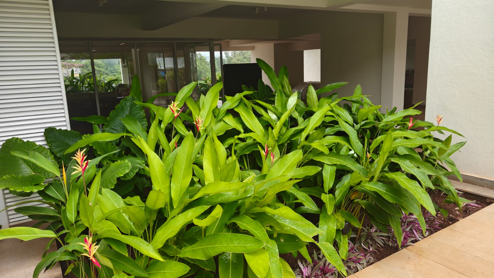 5 BHK Duplex Villament Nerul near Candolim North Goa (75) 5 BHK Duplex Villament Nerul near Candolim North Goa