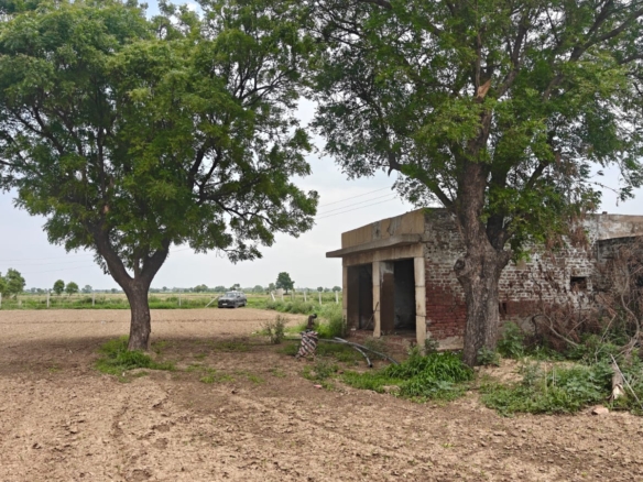 6Acres Agriculture Land For Sale in Gurgaon Near Pataudi Haryana