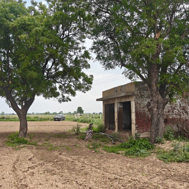 6Acres Agriculture Land For Sale in Gurgaon Near Pataudi Haryana
